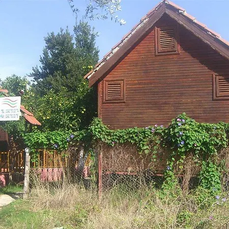 Отель Toll 2*
